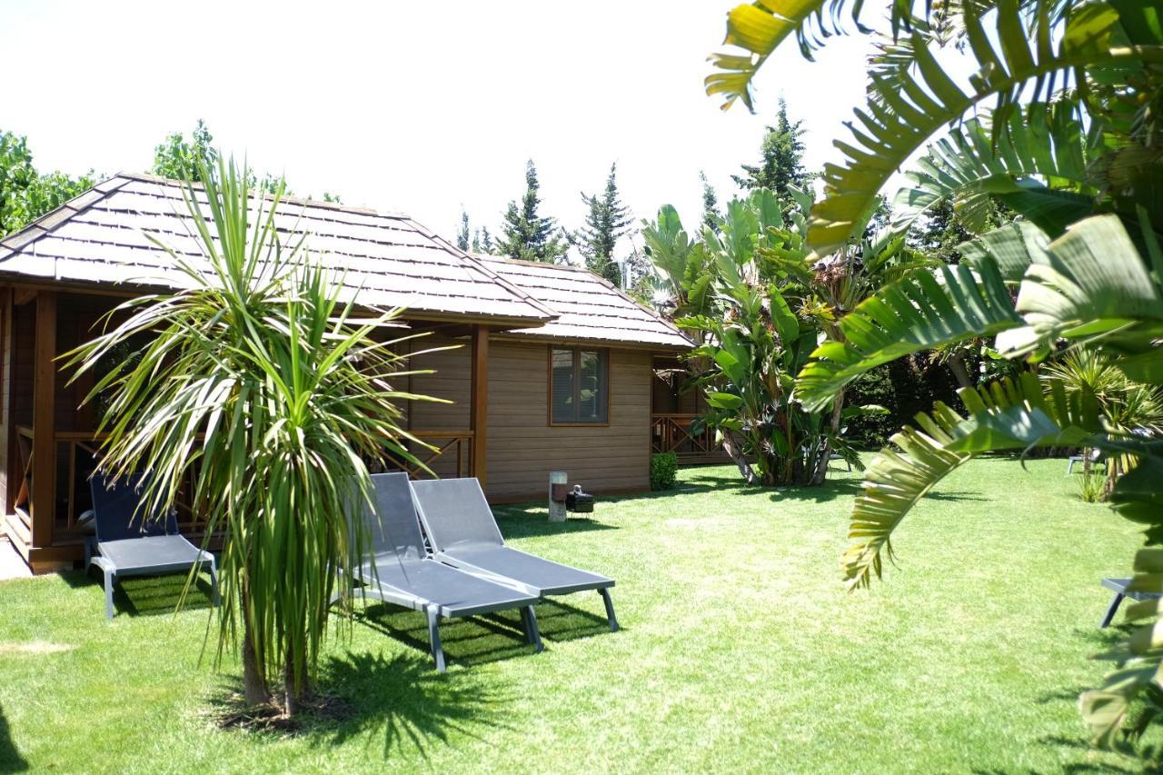 Playa Montroig Camping Resort Luaran gambar